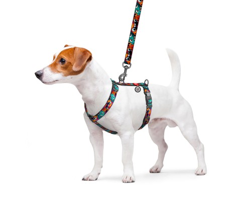 Шлея для собак WAUDOG Nylon анатомічна H-подібна з QR-паспортом 