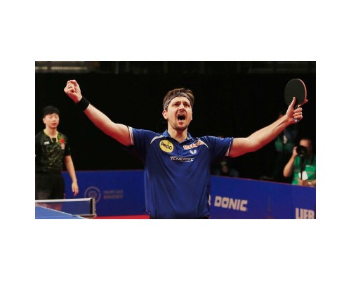 Ракетка для настільного тенісу Butterfly Timo Boll Comfort FL (6110170005) (931845)