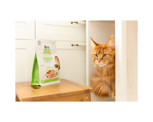 Сухий корм для кішок Brit Care Cat GF Senior Weight Control 400 г (8595602540952)