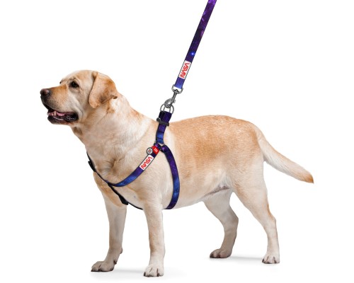 Шлея для собак WAUDOG Nylon з QR-паспортом 
