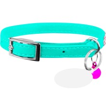 Нашийник для тварин WAUDOG GLAMOUR 