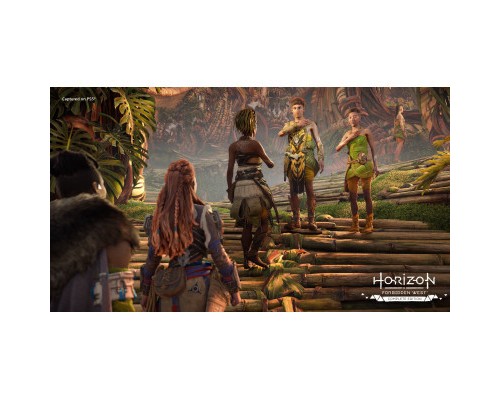 Гра Sony Horizon Forbidden West Complete Edition, BD диск (1000040790)