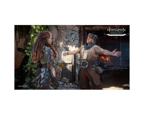 Гра Sony Horizon Forbidden West Complete Edition, BD диск (1000040790)