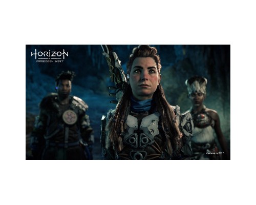 Гра Sony Horizon Forbidden West Complete Edition, BD диск (1000040790)