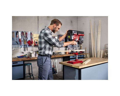 Свердлильний верстат Einhell TE-BD 550 E, 550Вт, 450-2500 об/хв, 21.2кг (4250690)