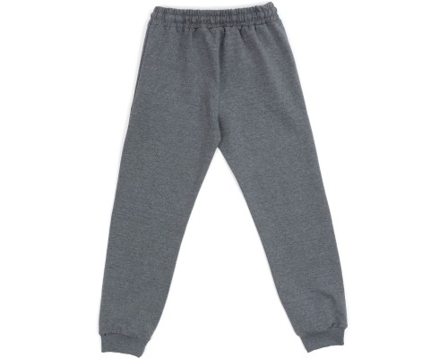 Спортивний костюм дитячий Joi SPORT (S-327-170B-gray)