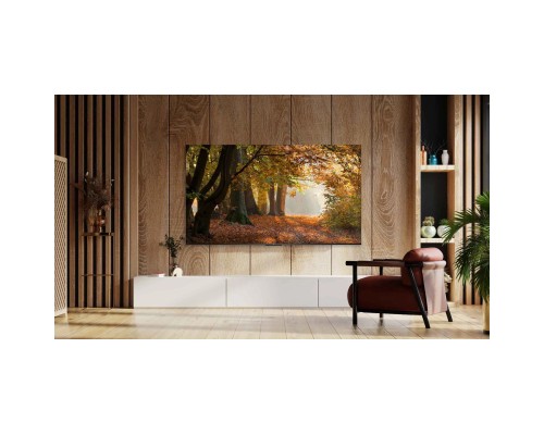 Телевізор TCL 58V6B