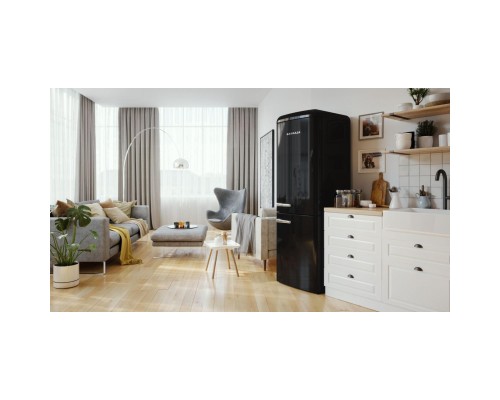Холодильник Gorenje ONRK 619 DBK (ONRK619DBK)