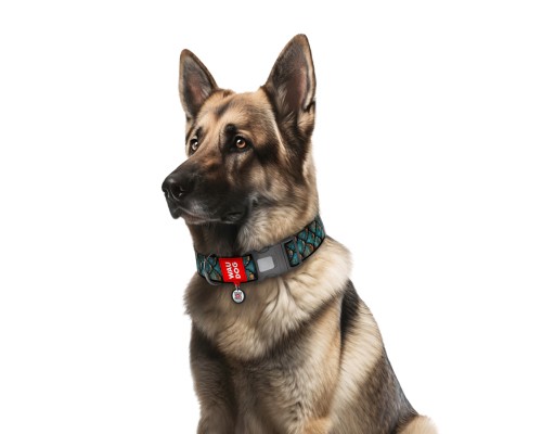 Нашийник для тварин WAUDOG Nylon з QR адресником 