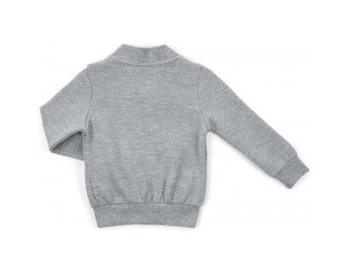 Кофта дитяча на блискавці Breeze (13593-74B-gray)