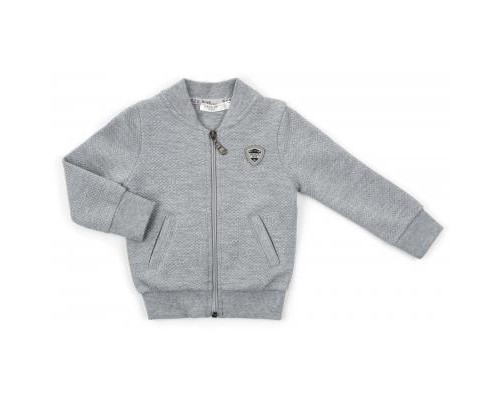 Кофта дитяча на блискавці Breeze (13593-74B-gray)