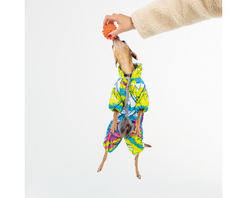 Комбінезон для тварин Pet Fashion INDIGO XS2 (4823082428984)