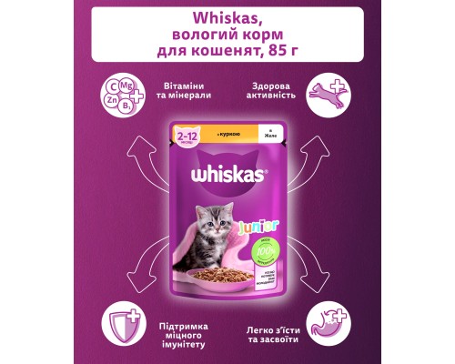 Вологий корм для кішок Whiskas Kitten Курка в желе 85 г (5900951302152/5900951302138)