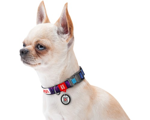 Нашийник для тварин WAUDOG Nylon з QR паспортом 