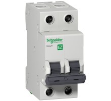 Автоматичний вимикач Schneider Electric Easy9 2P 25A C (EZ9F34225)