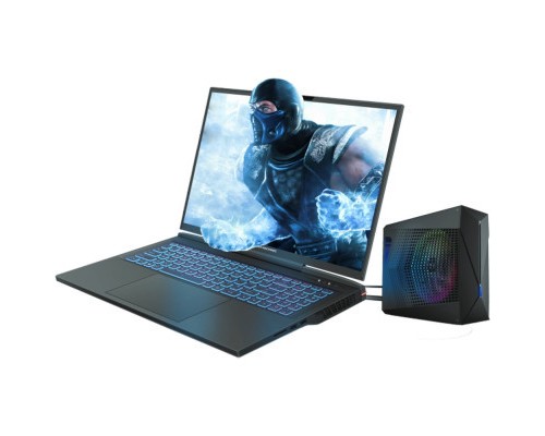 Ноутбук Dream Machines RX4090-17 (RX4090-17UA31)