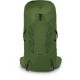 Рюкзак туристичний Osprey Talon 36 green belt/black L/XL (009.3577)