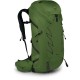 Рюкзак туристичний Osprey Talon 36 green belt/black L/XL (009.3577)