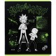 Зошит Kite Rick and Morty 48 аркушів, клітинка (RM24-259)