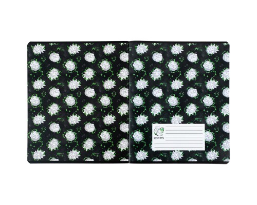 Зошит Kite Rick and Morty 48 аркушів, клітинка (RM24-259)