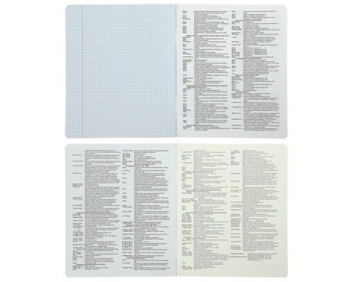 Зошит ZiBi предметний BLACK 48 аркушів клітинка, історія (ZB.1700-11)