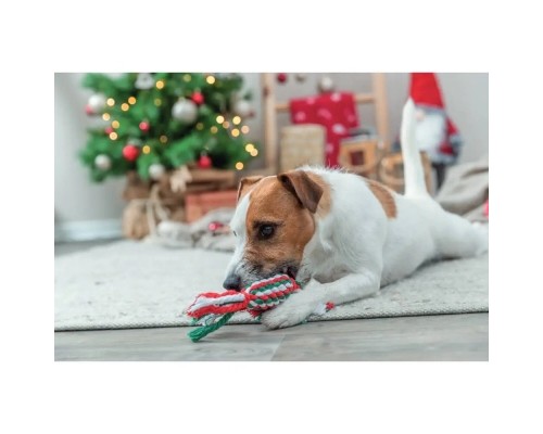 Іграшка для собак Trixie Різдвяна Канат-льодяник Бавовна/поліестер 24 см (4011905925967)