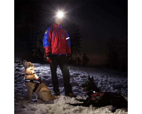 Ліхтар Mactronic Sunscan 5.3 (300 Lm) 90 CRI (PHL0031) (DAS302564)