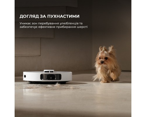 Пилосос Dreame Bot D20 Ultra (RLD31SE)