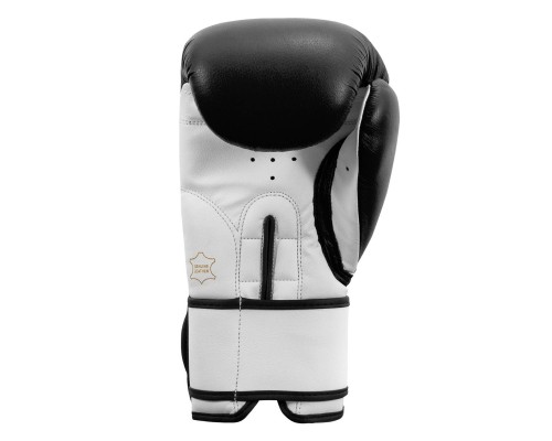Боксерські рукавички Title Premier Leather Black/White L 14 oz (TSBG2 L BK/WH)