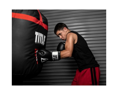 Боксерські рукавички Title Premier Leather Black/White L 14 oz (TSBG2 L BK/WH)