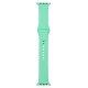 Ремінець до смарт-годинника Armorstandart Sport Band (3 Straps) для Apple Watch 42 (Series 11-10)/41/40/38 Spearmint (ARM57872)