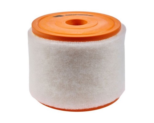 Повітряний фільтр для автомобіля Champion CAF101081R