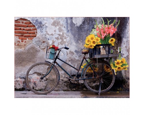 Пазл Educa Велосипед і квіти 500 елементів (6336906)