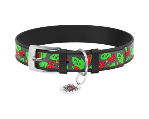 Нашийник для тварин WAUDOG Design з QR паспортом 