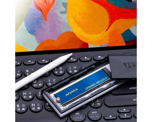Накопичувач SSD M.2 2280 2TB ADATA (SLEG-700G-2TCS-S48)