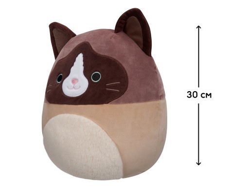М'яка іграшка Squishmallows Кіт Вудворд 30 см (SQCR05423) М'яка іграшка Squishmallows Кіт Вудворд 30 см (SQCR05423)