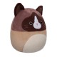 М'яка іграшка Squishmallows Кіт Вудворд 30 см (SQCR05423)