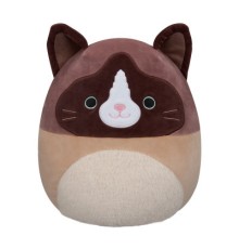 М'яка іграшка Squishmallows Кіт Вудворд 30 см (SQCR05423)