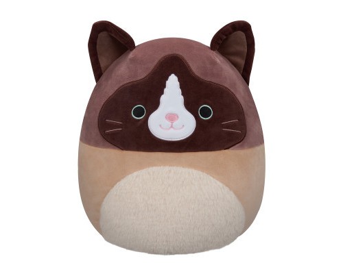 М'яка іграшка Squishmallows Кіт Вудворд 30 см (SQCR05423) М'яка іграшка Squishmallows Кіт Вудворд 30 см (SQCR05423)