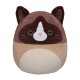 М'яка іграшка Squishmallows Кіт Вудворд 30 см (SQCR05423)