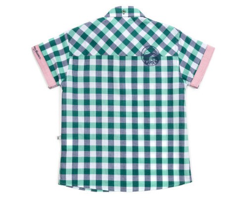 Сорочка дитяча Aziz у клітинку (19130-98B-green)