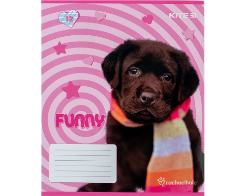 Зошит Kite Rachael Hale 12 аркушів, коса лінія (R24-235)