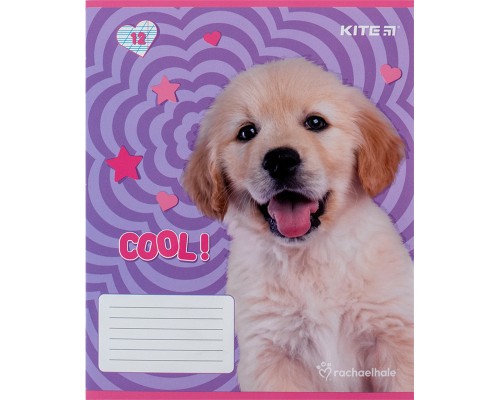 Зошит Kite Rachael Hale 12 аркушів, коса лінія (R24-235)