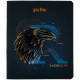 Зошит Kite Harry Potter 48 аркушів, клітинка (HP24-259)