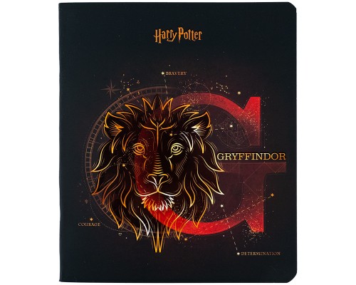 Зошит Kite Harry Potter 48 аркушів, клітинка (HP24-259)