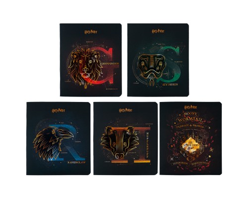 Зошит Kite Harry Potter 48 аркушів, клітинка (HP24-259)