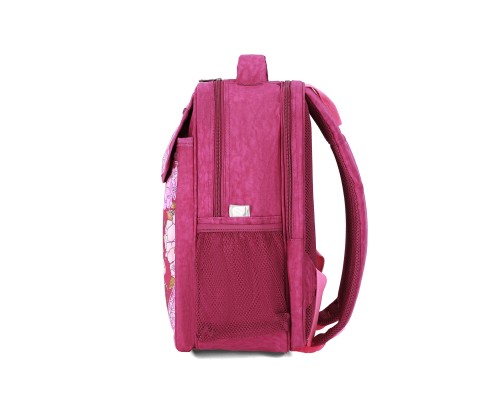 Рюкзак шкільний Bagland BL Відмінник 20 л. Малиновий 888 (00058070) (1123921618)