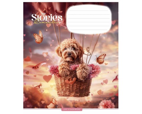 Зошит Школярик Romantic stories 12 аркушів клітинка (012-3464K)