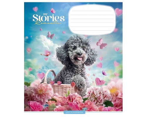 Зошит Школярик Romantic stories 12 аркушів клітинка (012-3464K)