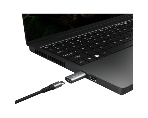 Перехідник USB-C to USB-A 3.2 Adapter 2-Pack Trust (25573_TRUST)